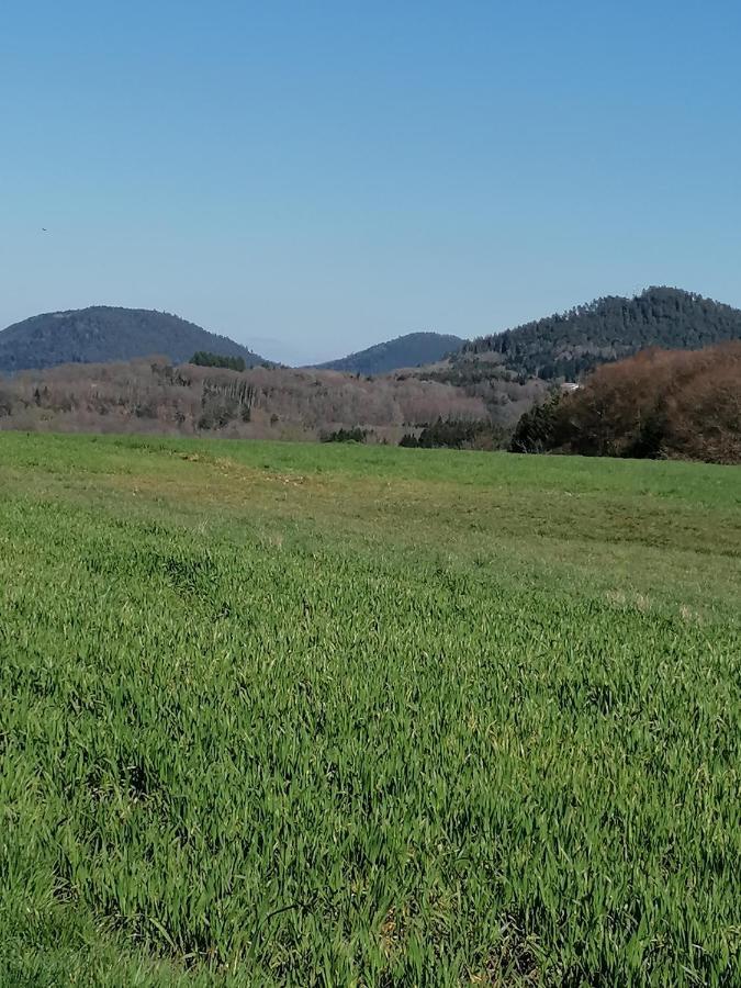 Air Paix Le Mont Villa Herpelmont Eksteriør bilde