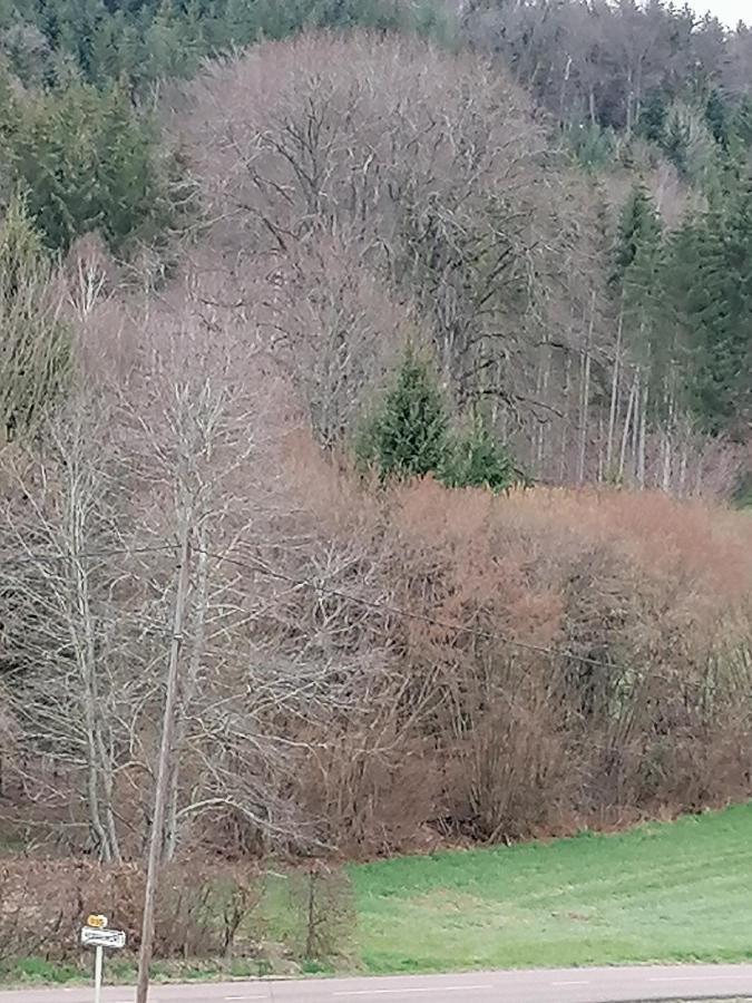 Air Paix Le Mont Villa Herpelmont Eksteriør bilde